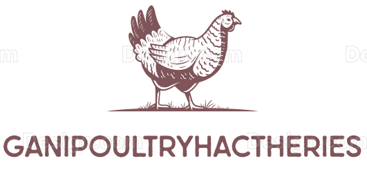 ganipoultryhactheries.com